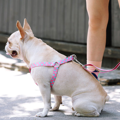 犬用ハーネス Y字型構造